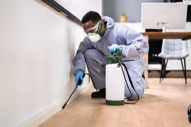 Best Pest Exclusion Services  in Everett, WA